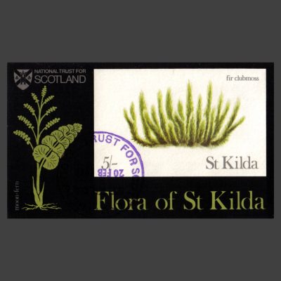 St Kilda 1969 Moon Fern and Fir Clubmoss (5s MS)