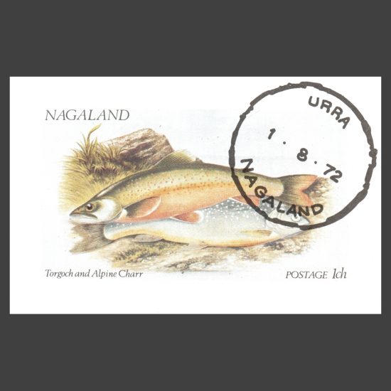 Nagaland 1972 Fish Sheetlet (1ch, CTO)