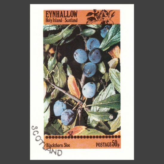 Eynhallow / Holy Island 1974 Sloe Sheetlet (50p)