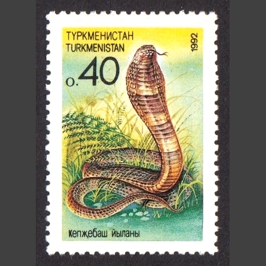 Turkmenistan 1992 Animals of Central Asia (SG 2-3, U/M)