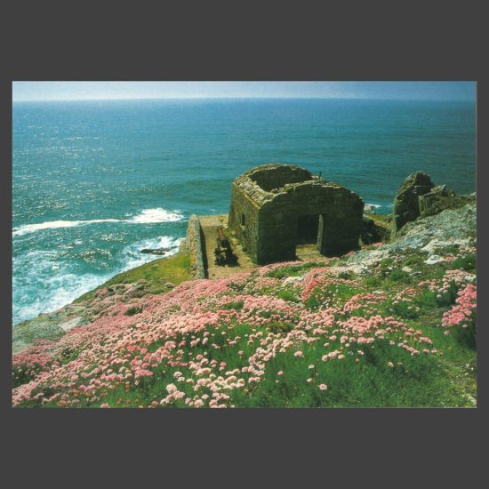 Postcard - The Battery, Lundy Island, c.1980s
